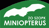 Miniopterus