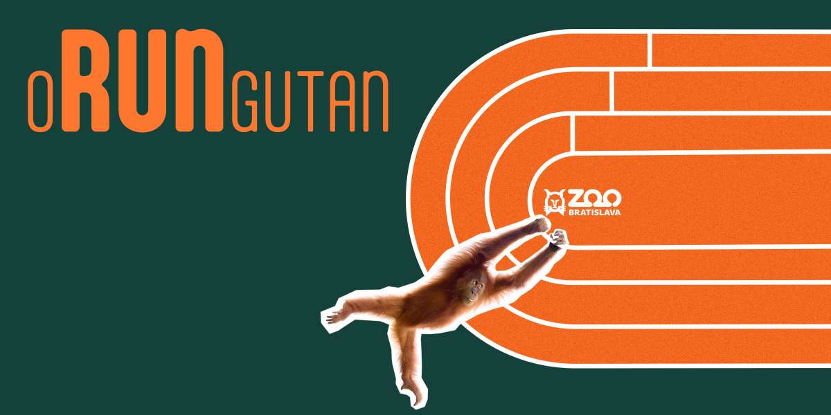 Registrácia na oRUNgutan 2026 spustená!