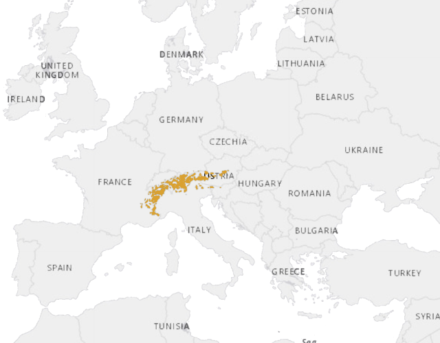 Mapa výskytu Kozorožec alpský