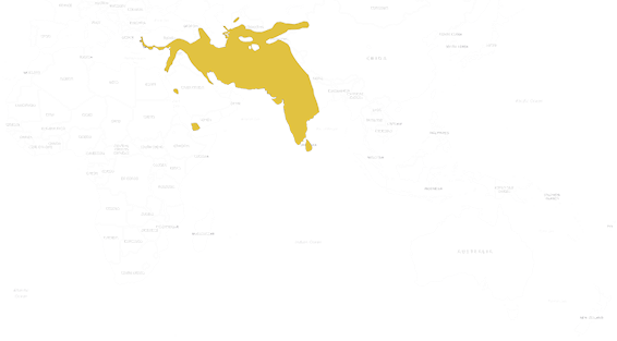 Mapa výskytu Dikobraz bielochvostý