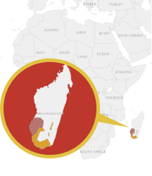 Mapa výskytu Lemur kata