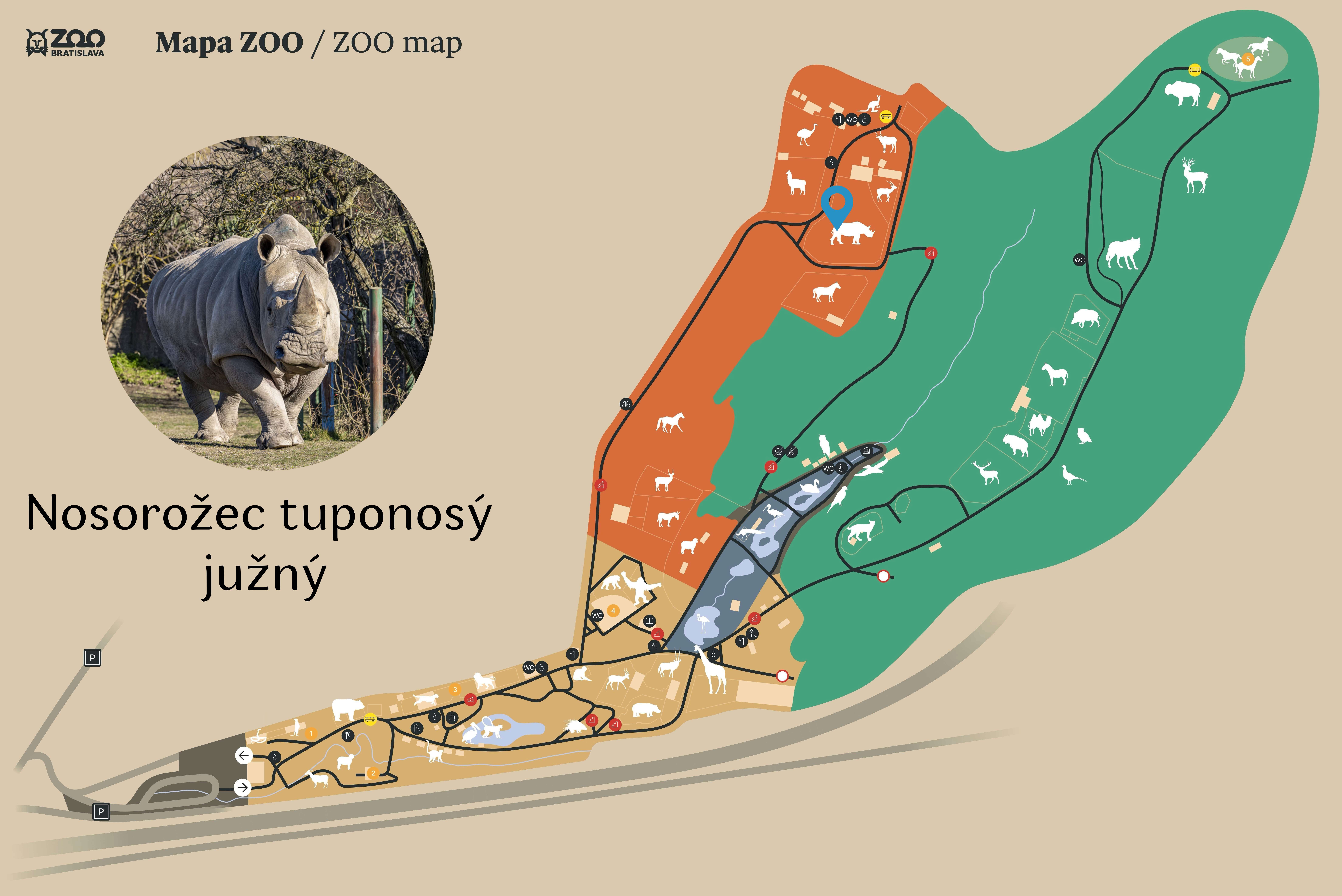 Poloha Nosorožec tuponosý južný v ZOO