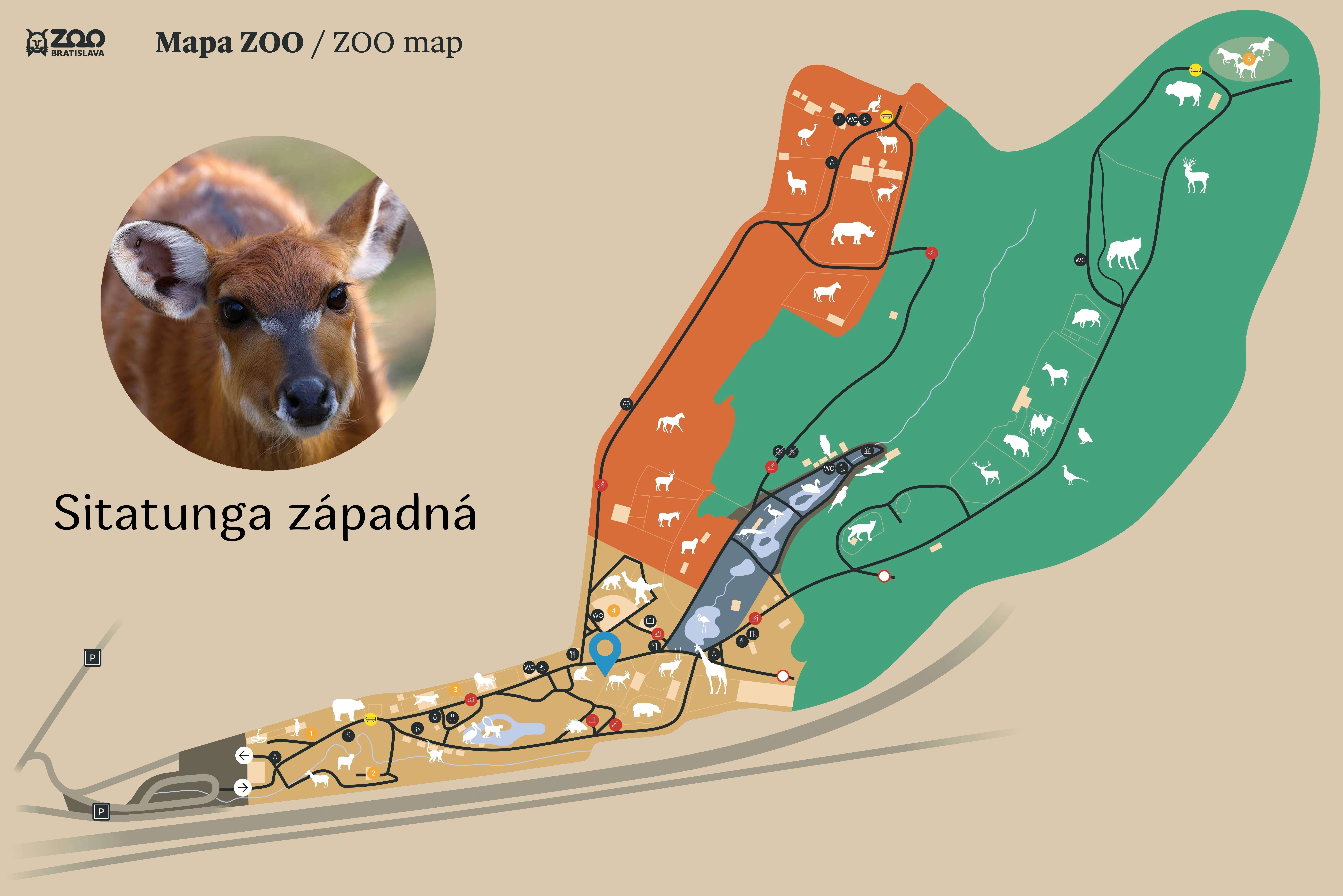 Poloha Sitatunga západná v ZOO