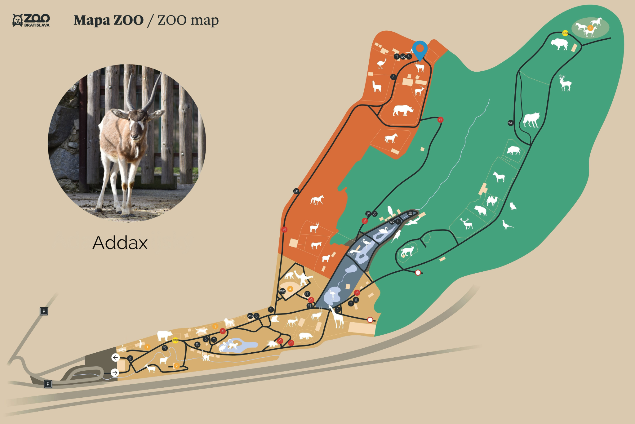 Poloha Adax núbijský v ZOO
