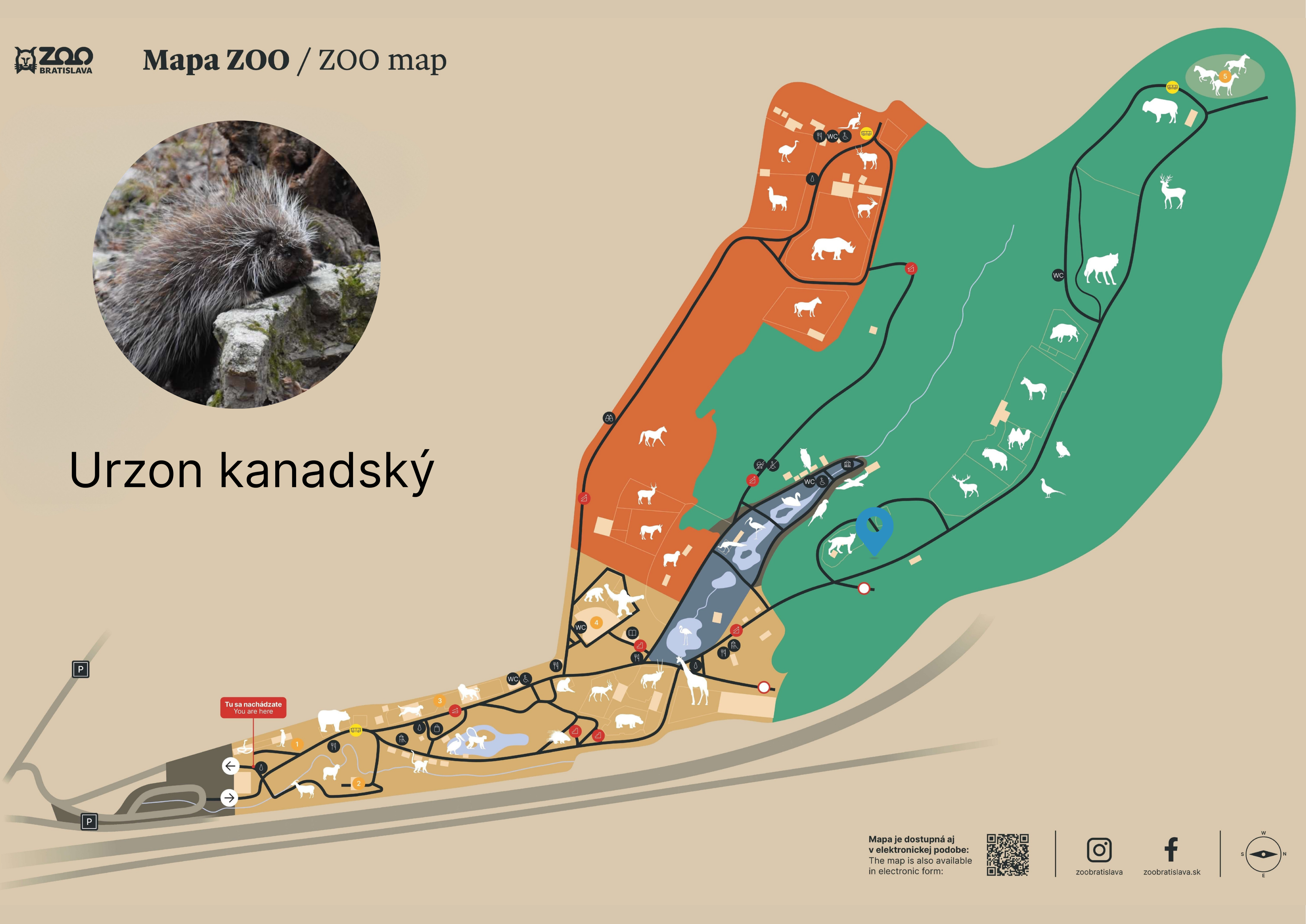 Poloha Urzon kanadský v ZOO