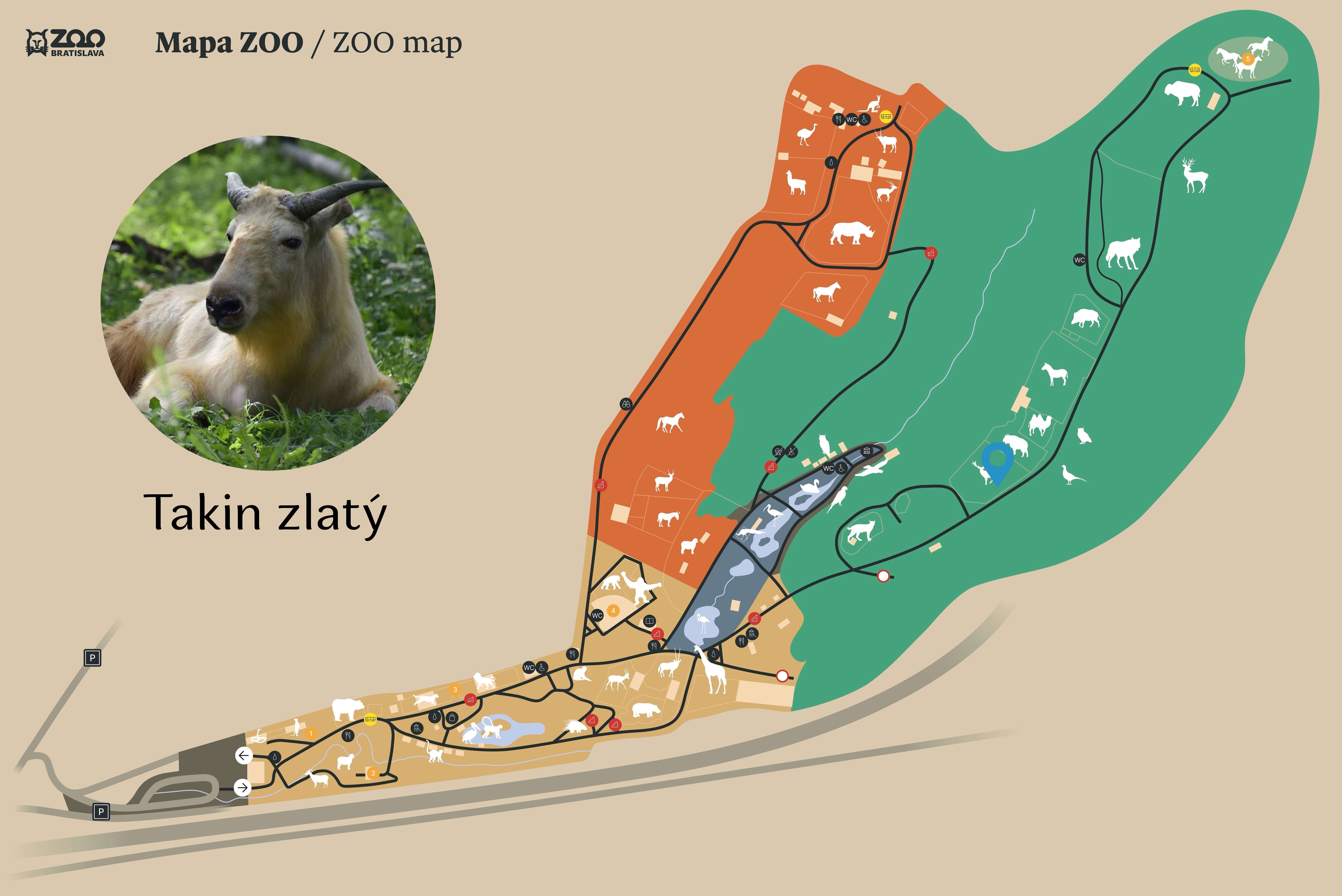 Poloha Takin zlatý v ZOO