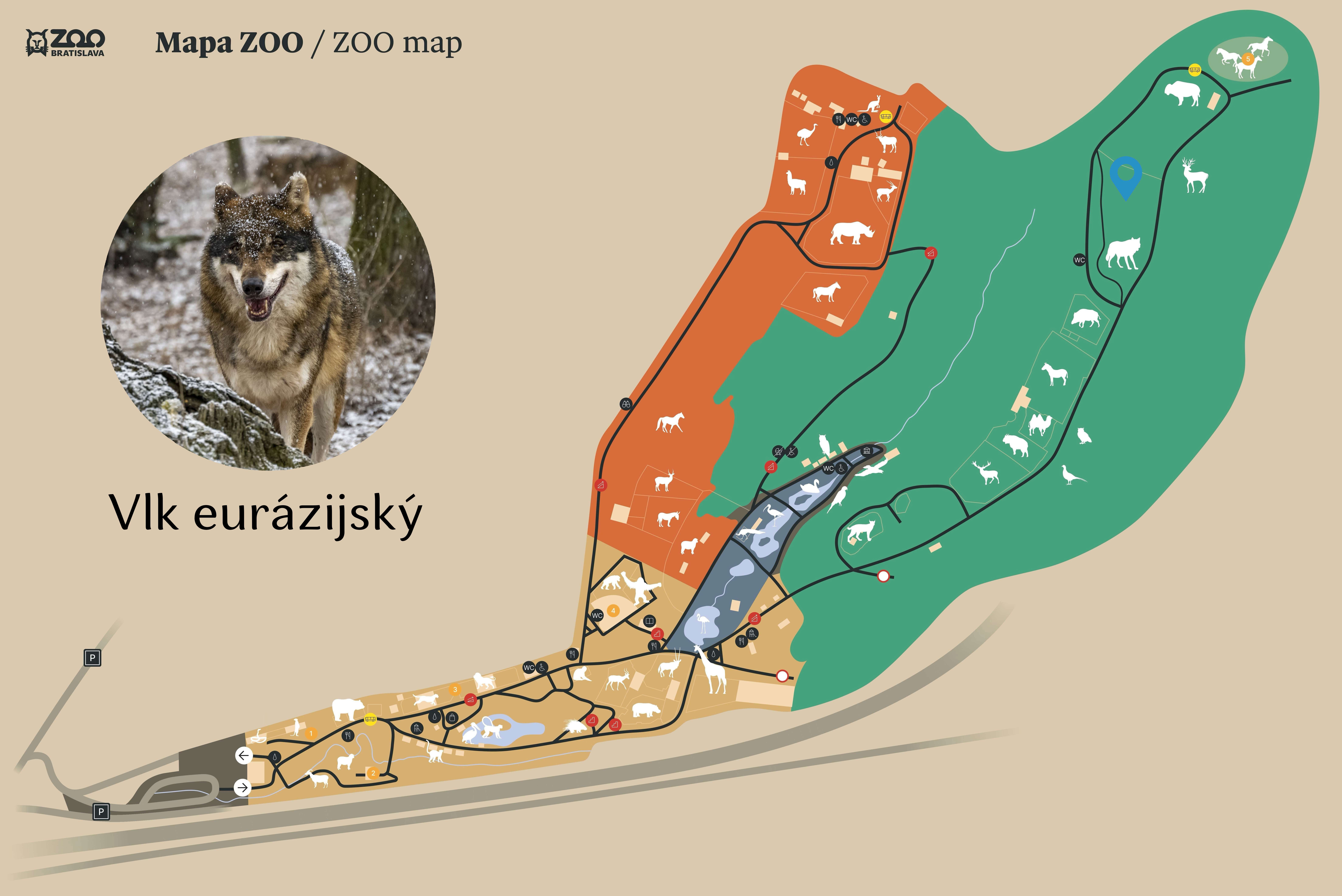 Poloha Vlk eurázijský v ZOO