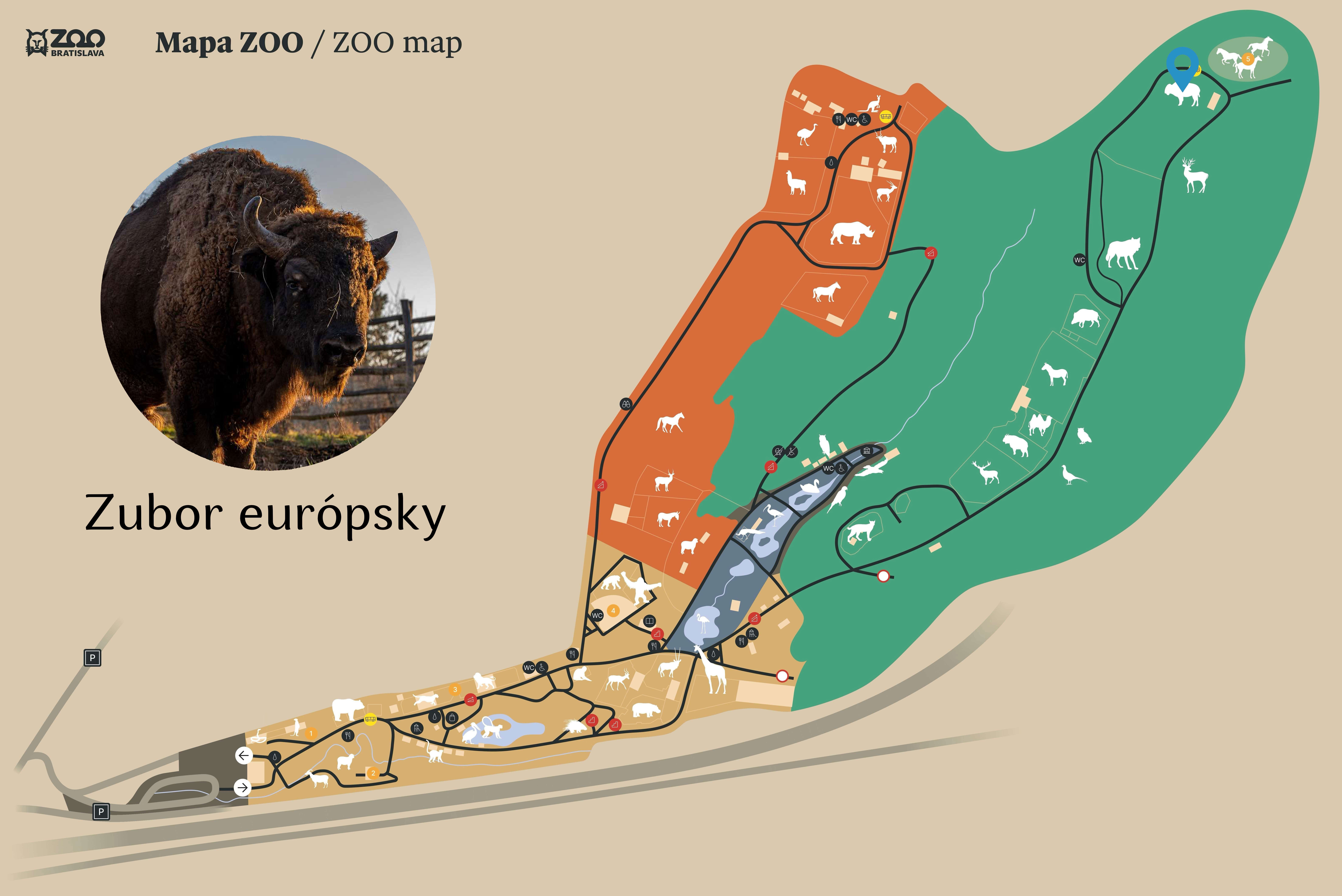 Poloha Zubor európsky v ZOO