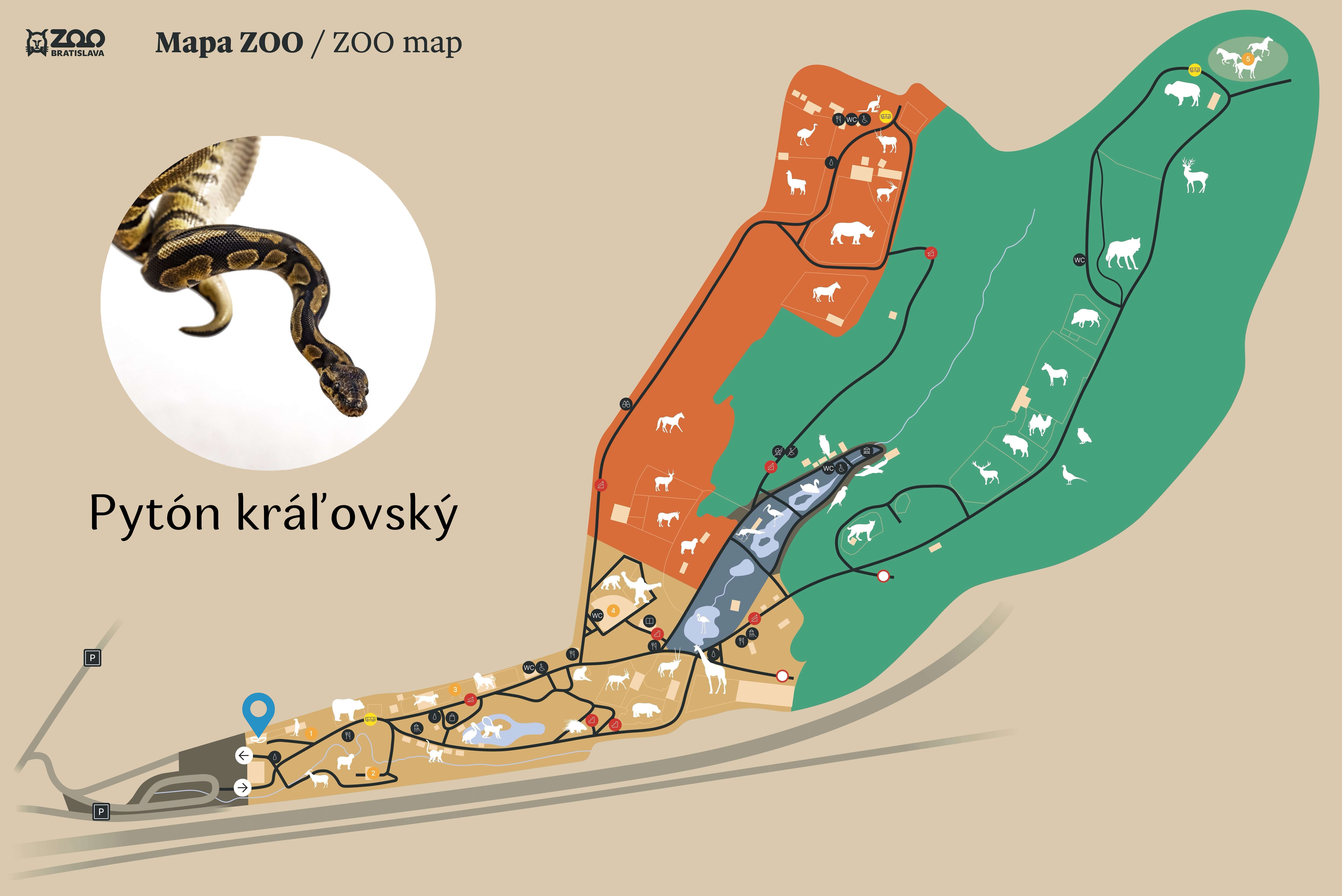 Poloha Pytón kráľovský v ZOO