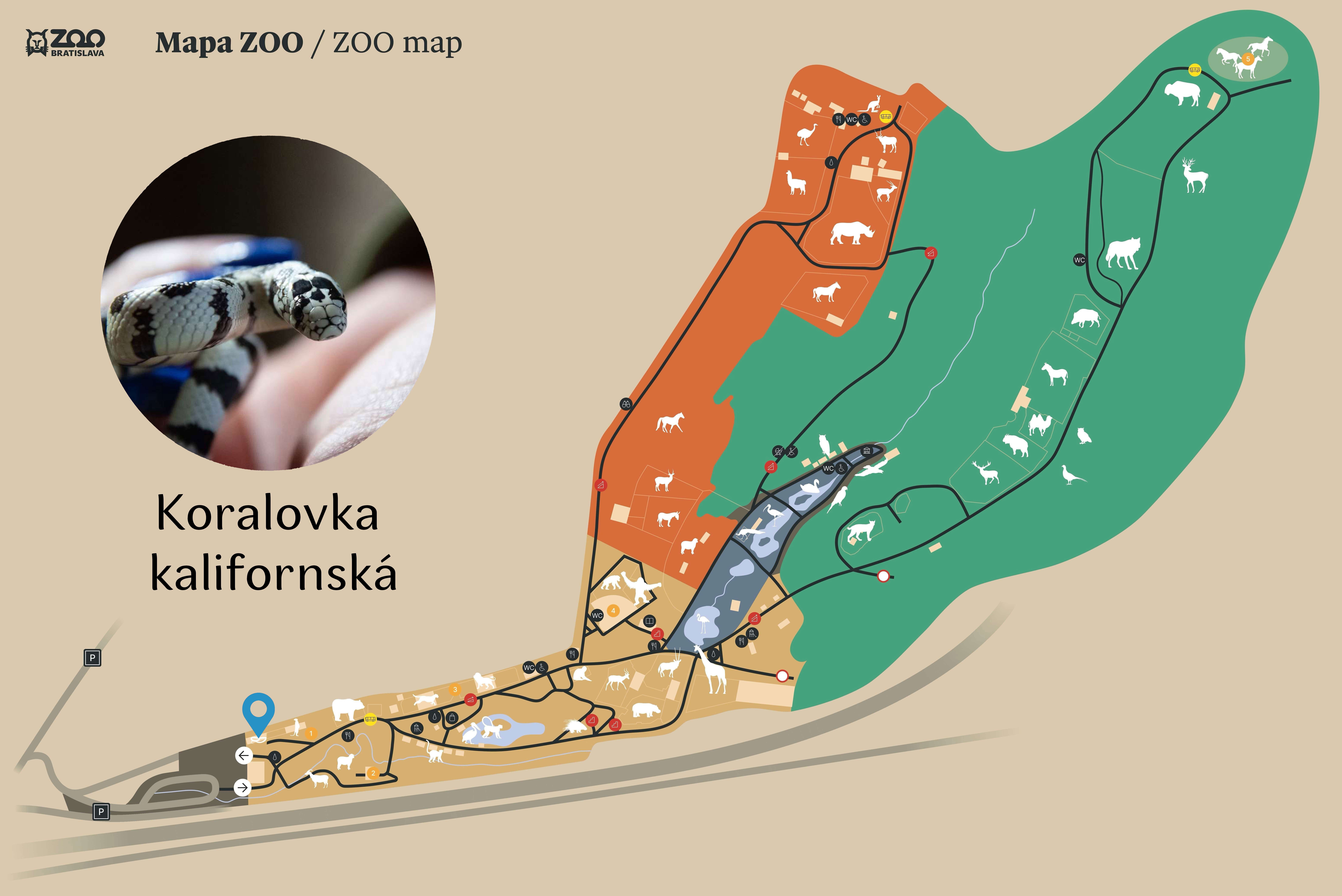Poloha Koralovka kalifornská v ZOO