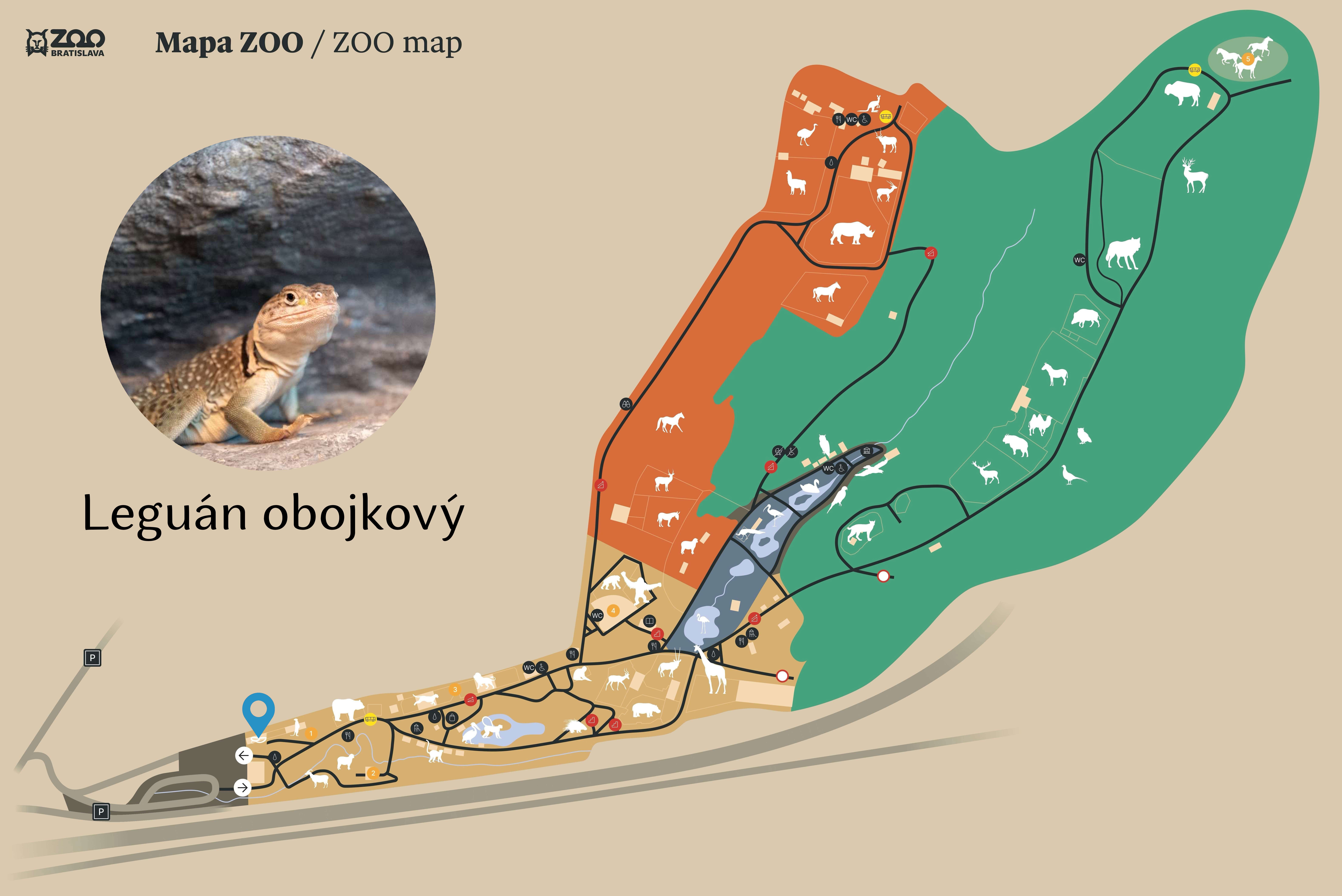 Poloha Leguán obojkový v ZOO