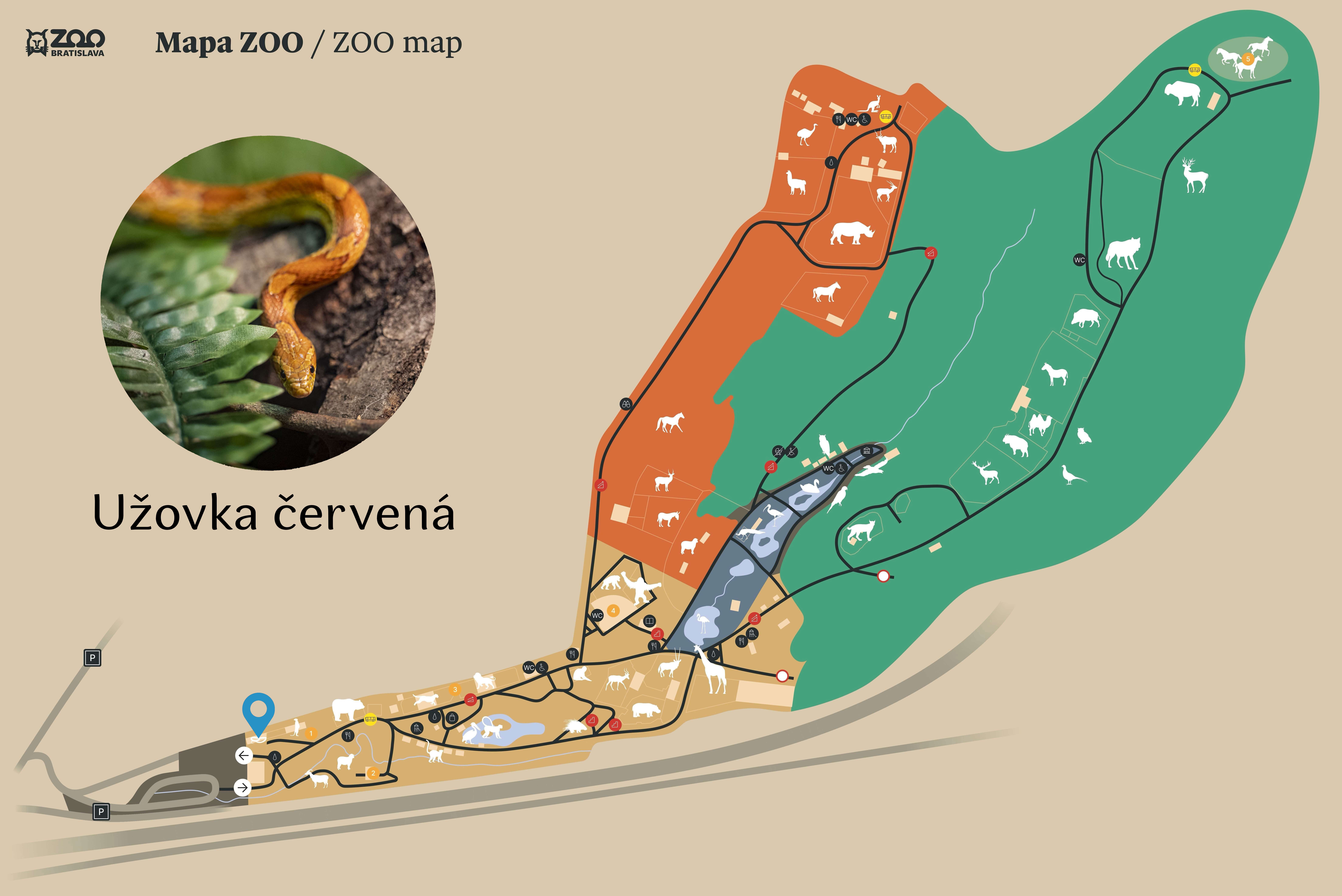 Poloha Užovka červená v ZOO