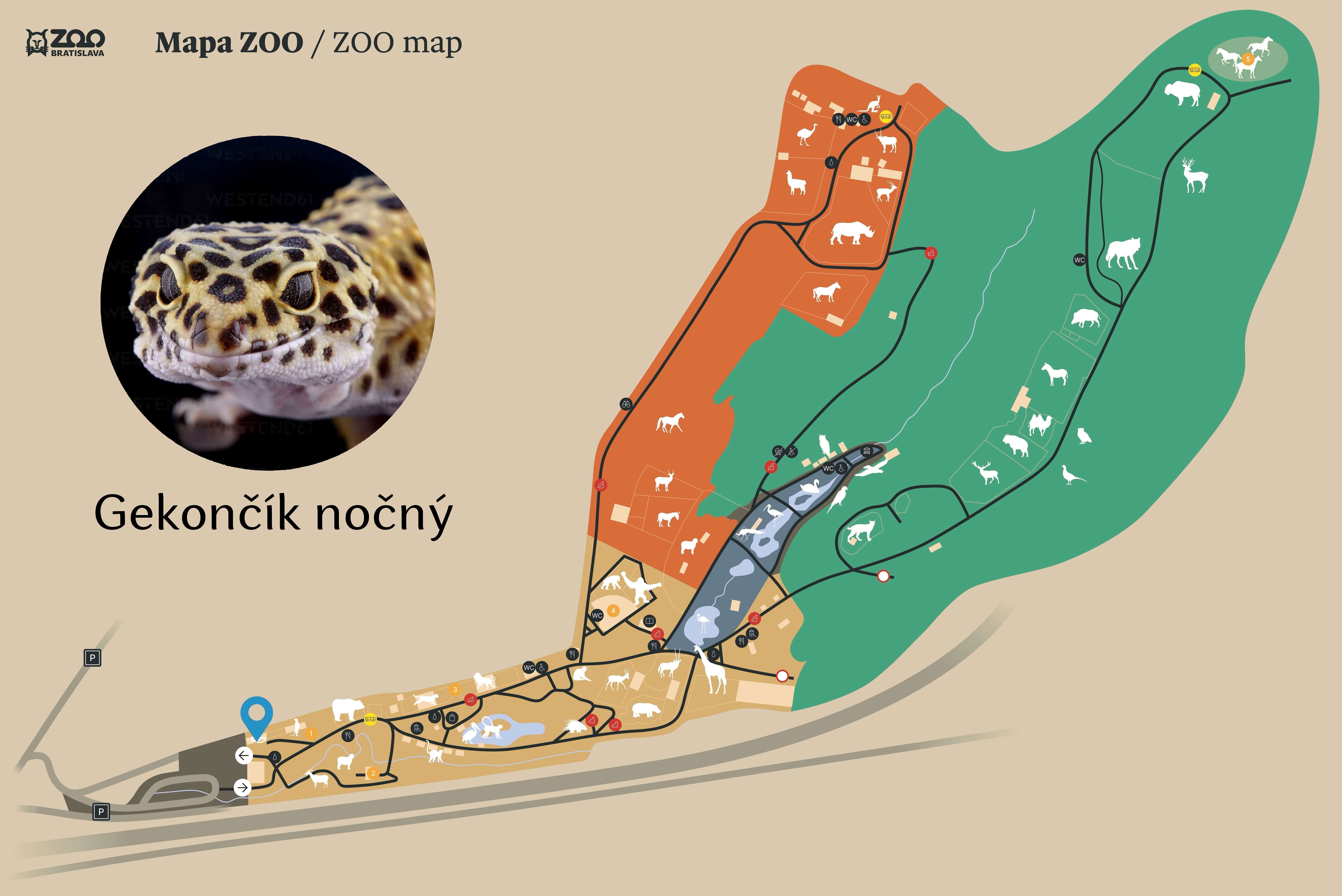 Poloha Gekončík nočný v ZOO
