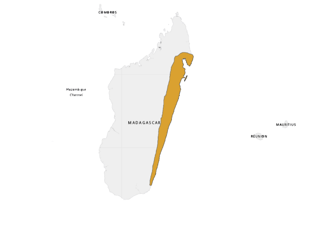 Mapa výskytu Felzuma madagaskarská