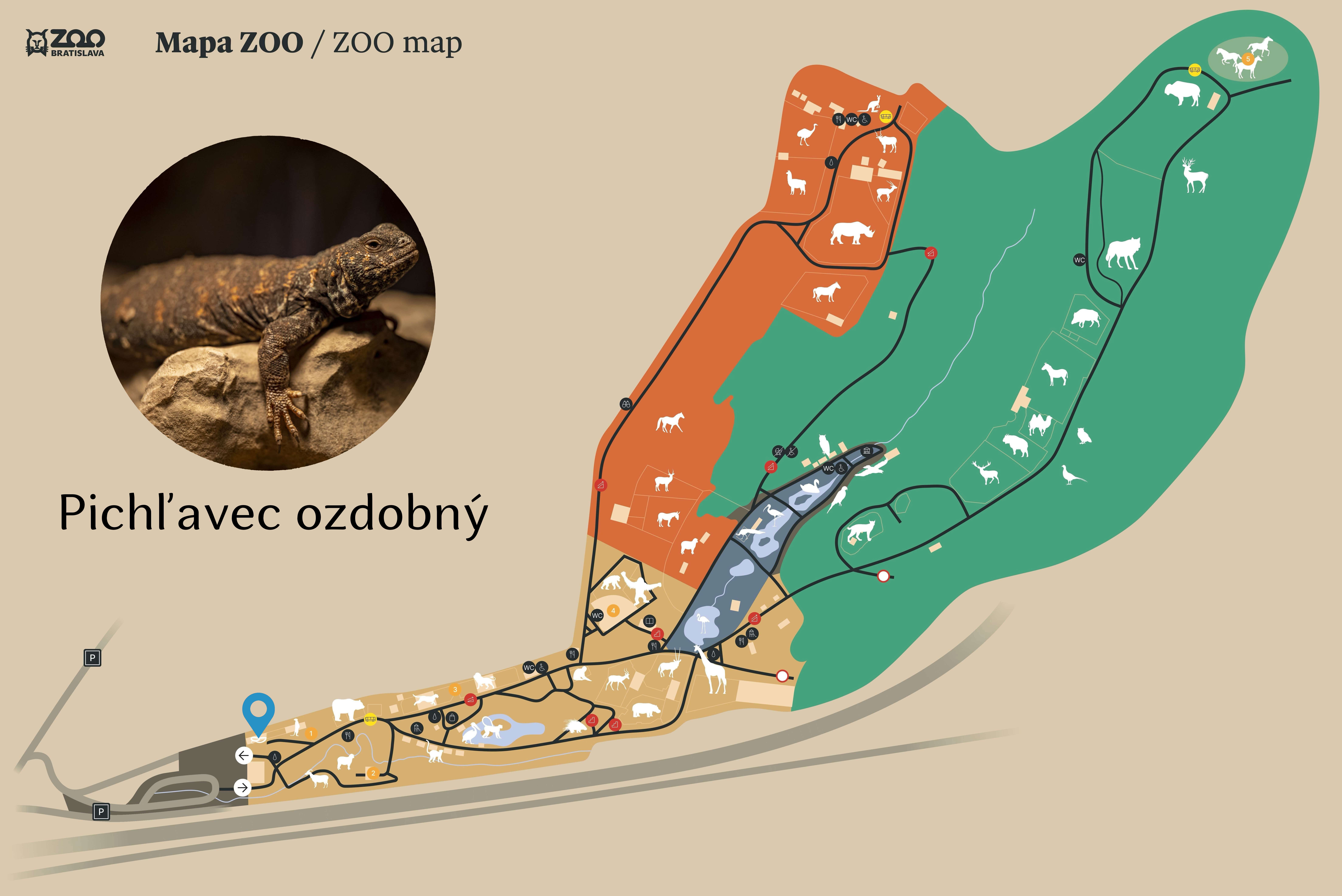 Poloha Pichľavec ozdobný v ZOO