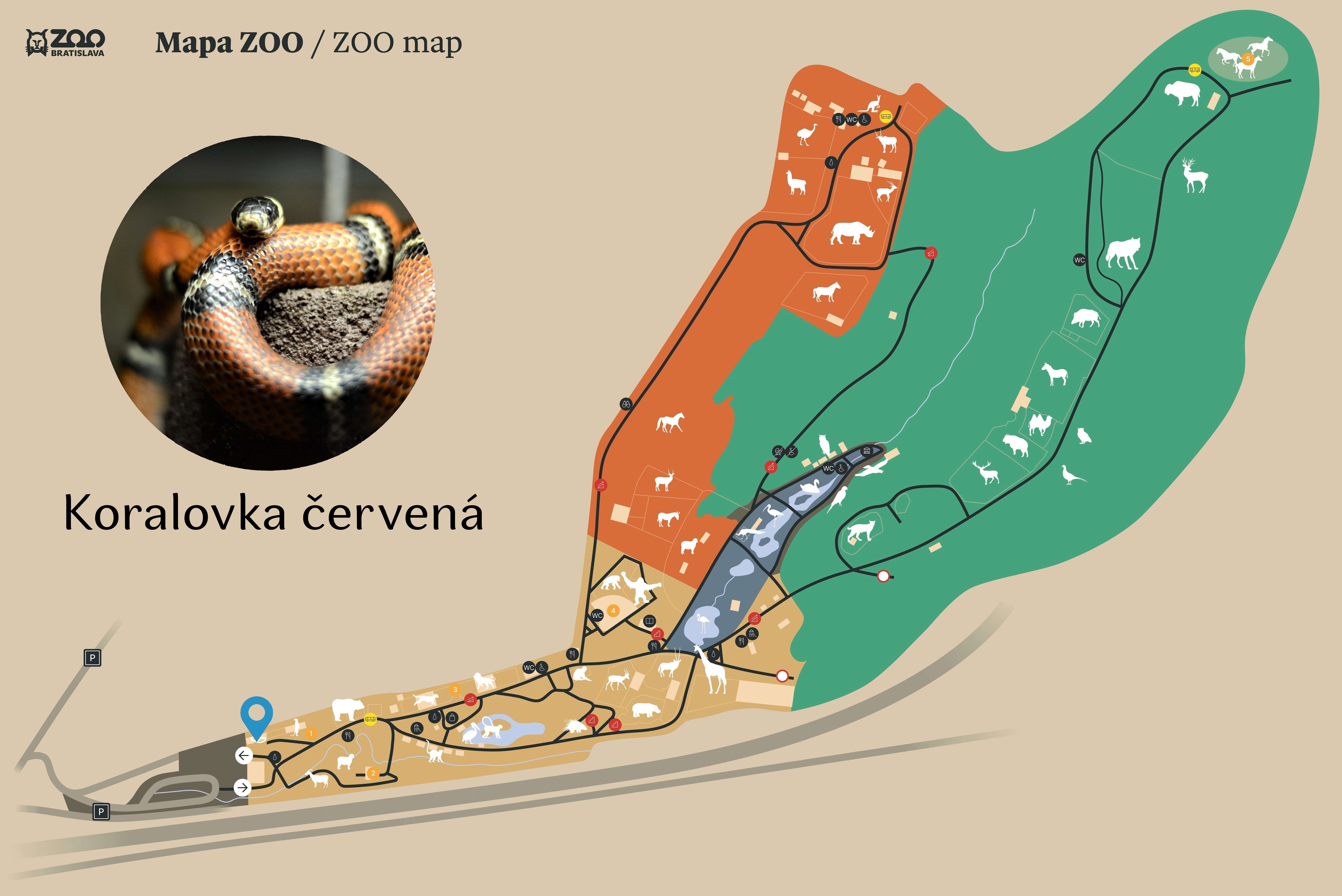 Poloha Koralovka červená v ZOO