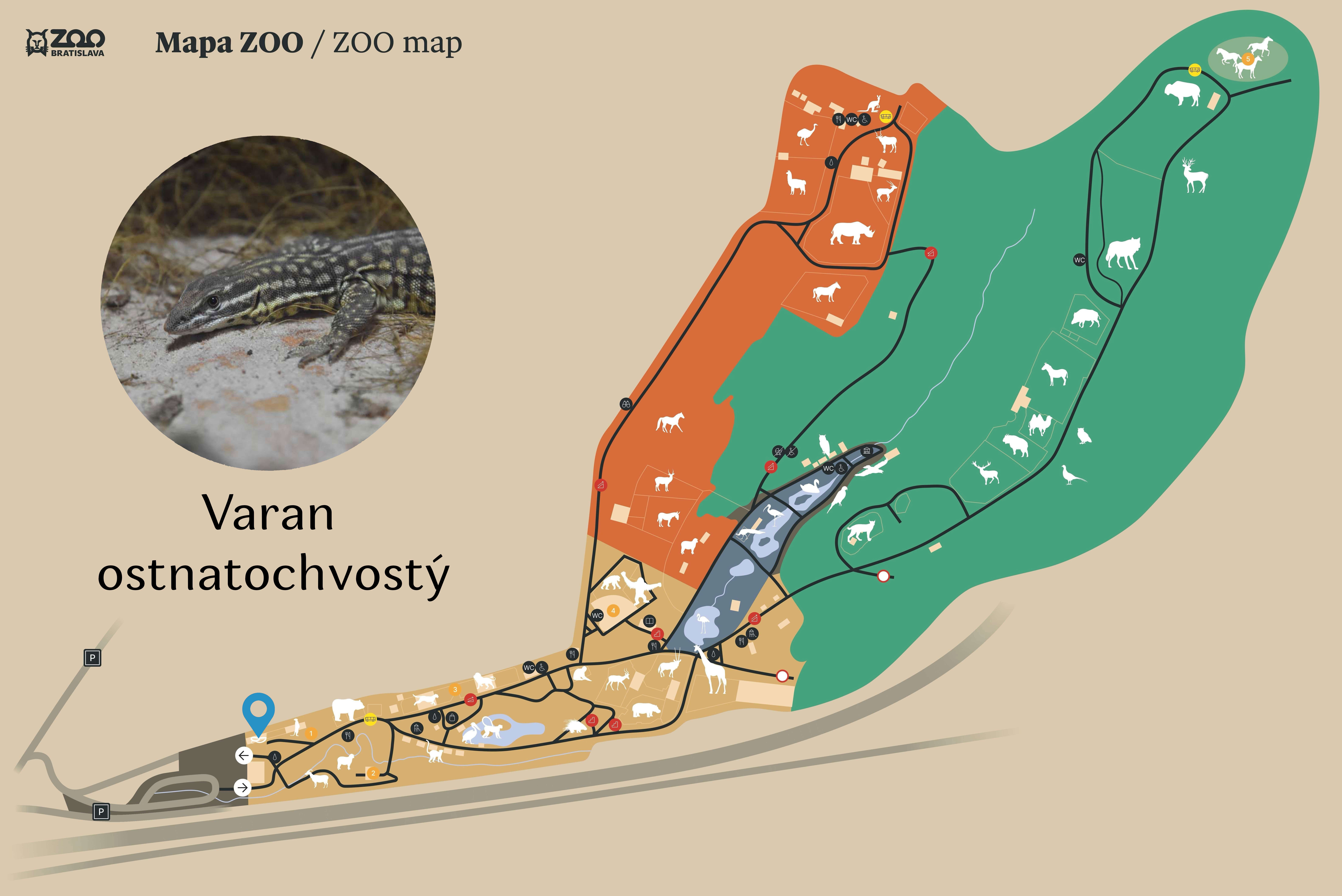 Poloha Varan ostnatochvostý v ZOO