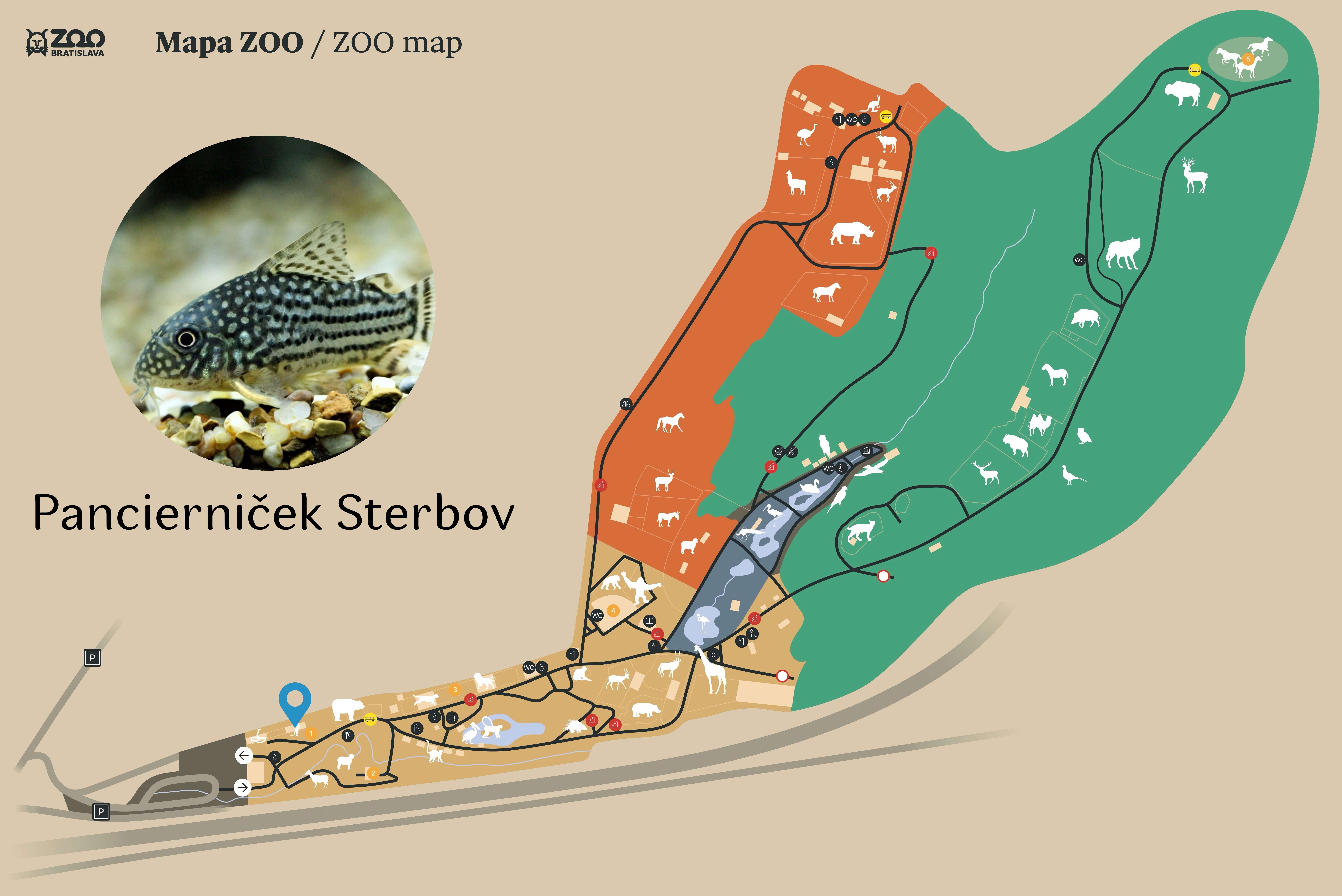 Poloha Pancierniček Sterbov v ZOO