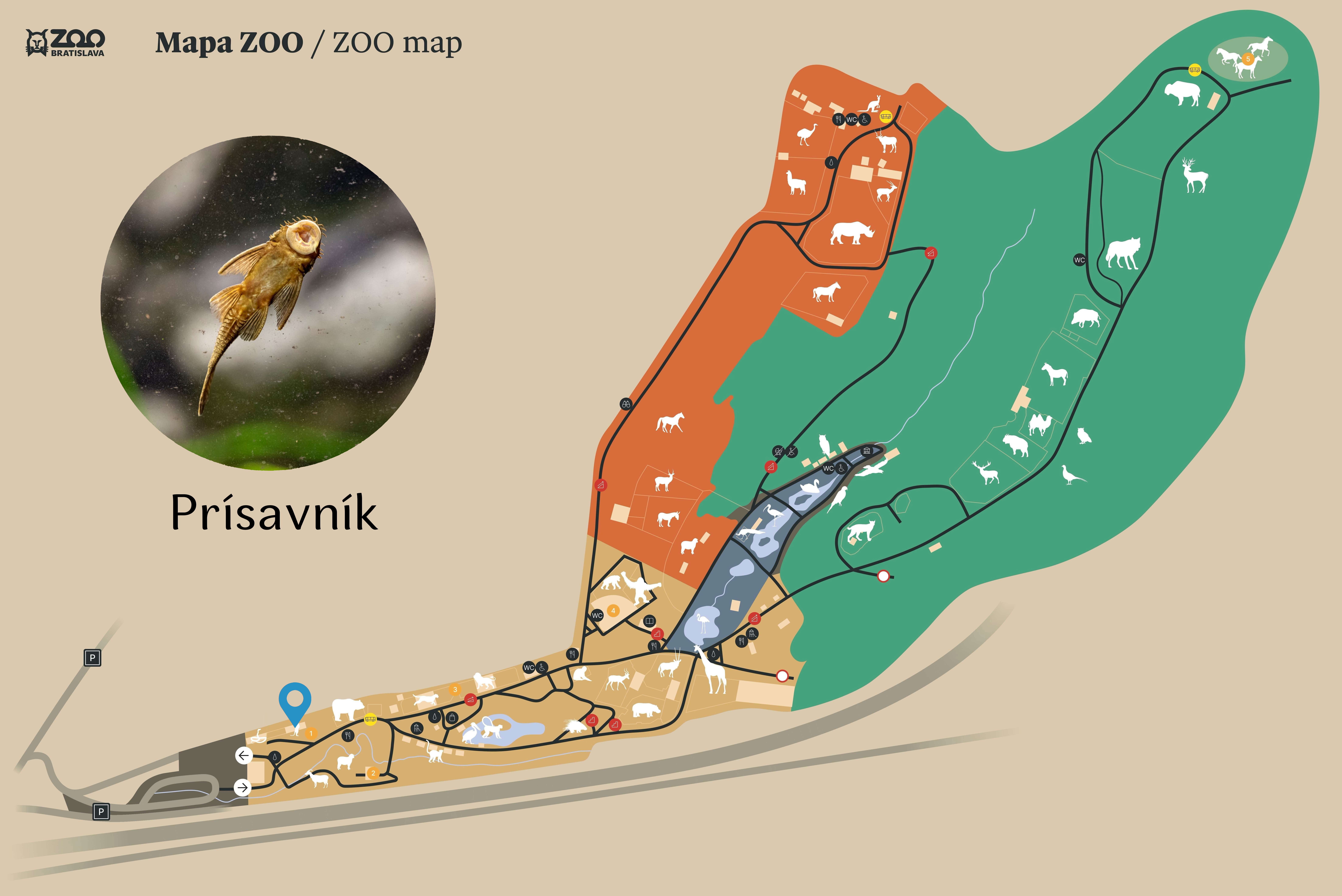 Poloha Prísavník v ZOO