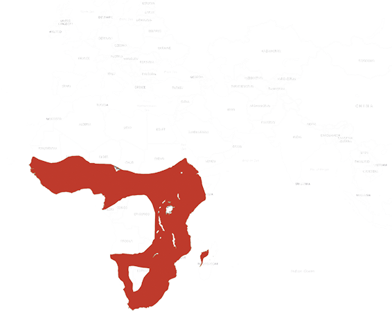 Mapa výskytu Lyžičiar ružovonohý