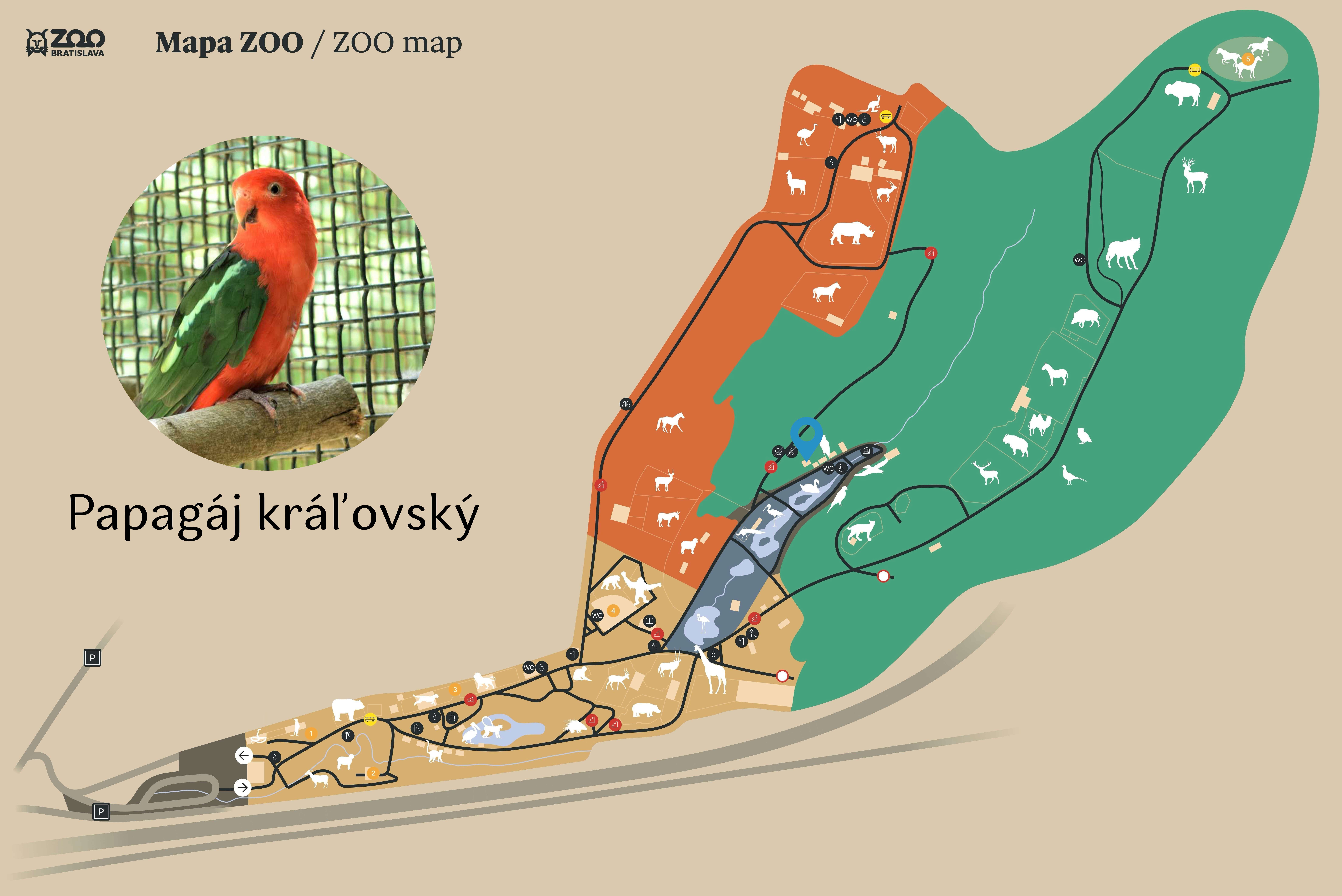 Poloha Papagáj kráľovský v ZOO