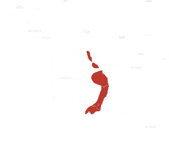 Mapa výskytu Papagáj kráľovský