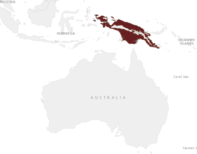 Mapa výskytu Lori trojfarebný