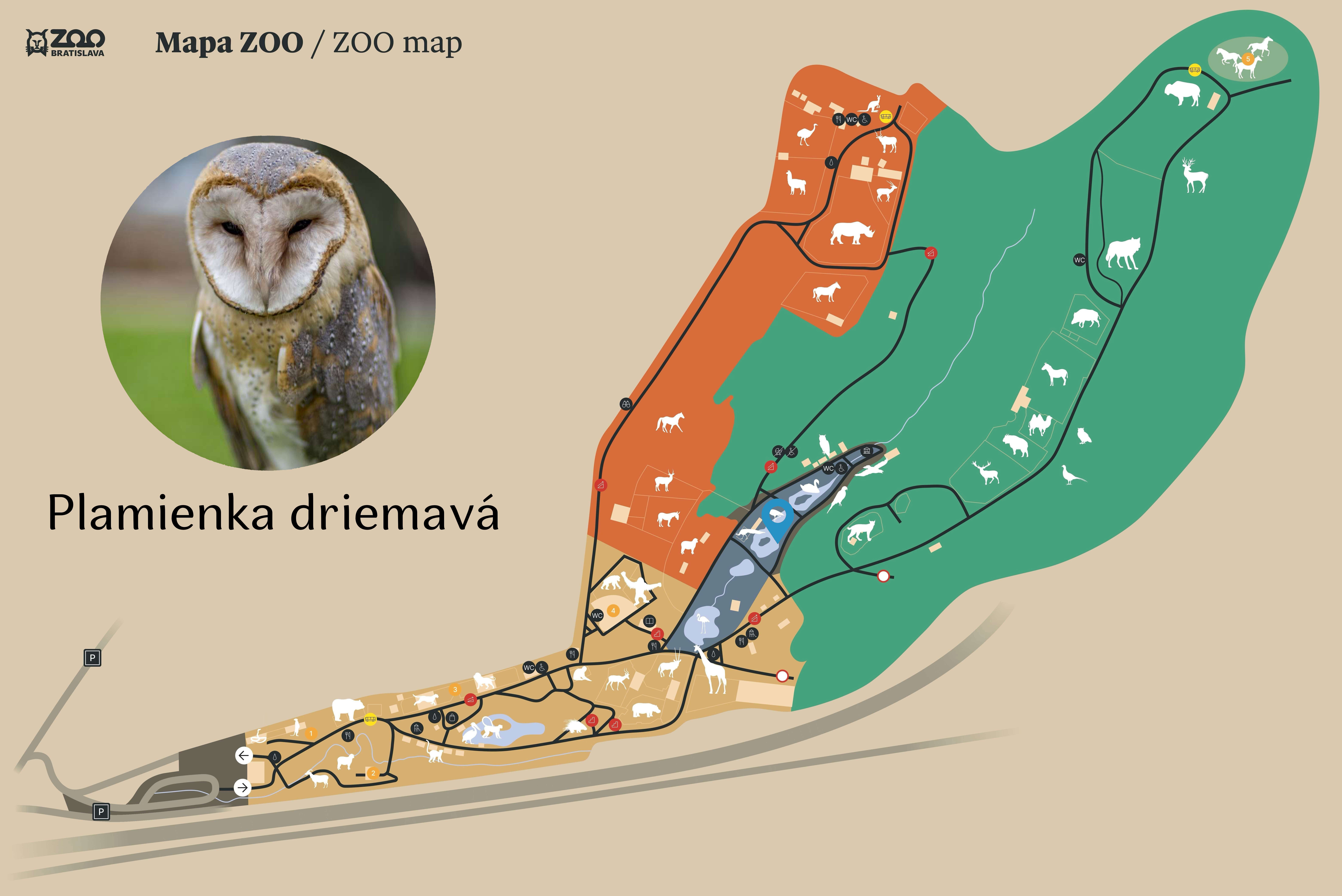 Poloha Plamienka driemavá v ZOO