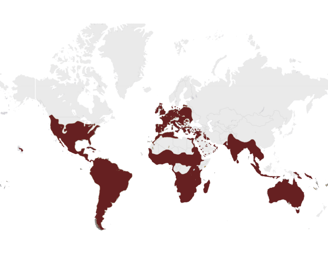 Mapa výskytu Plamienka driemavá