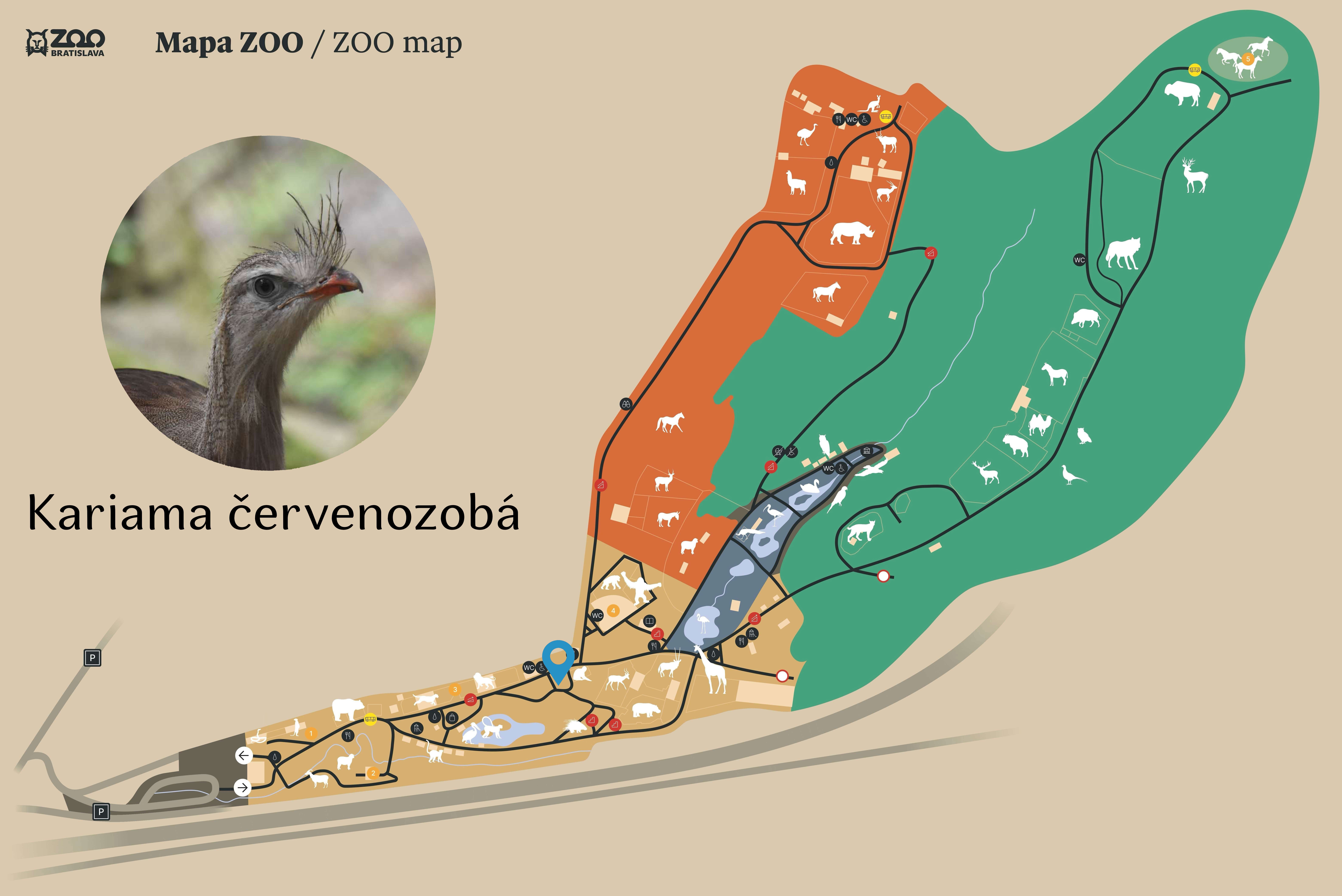 Poloha Kariama červenozobá v ZOO