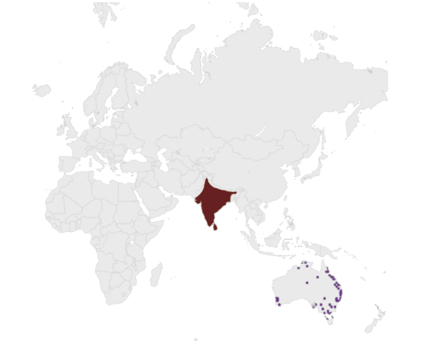 Mapa výskytu Páv korunkatý