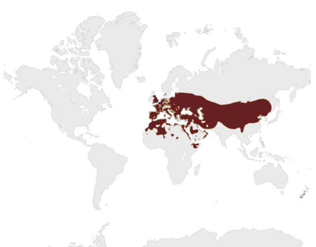 Mapa výskytu Kuvik obyčajný