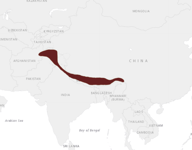 Mapa výskytu Monal lesklý