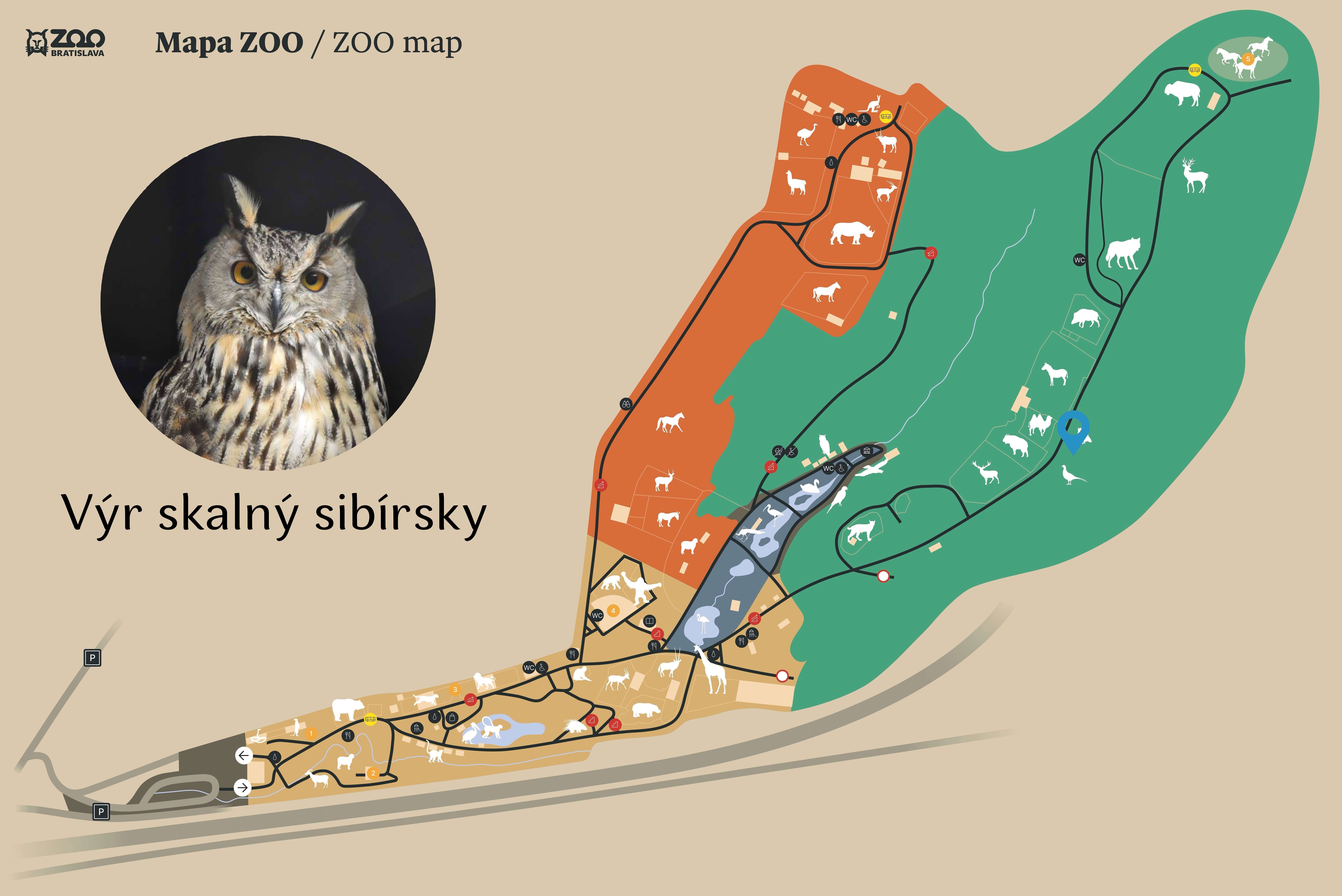 Poloha Výr skalný sibírsky v ZOO
