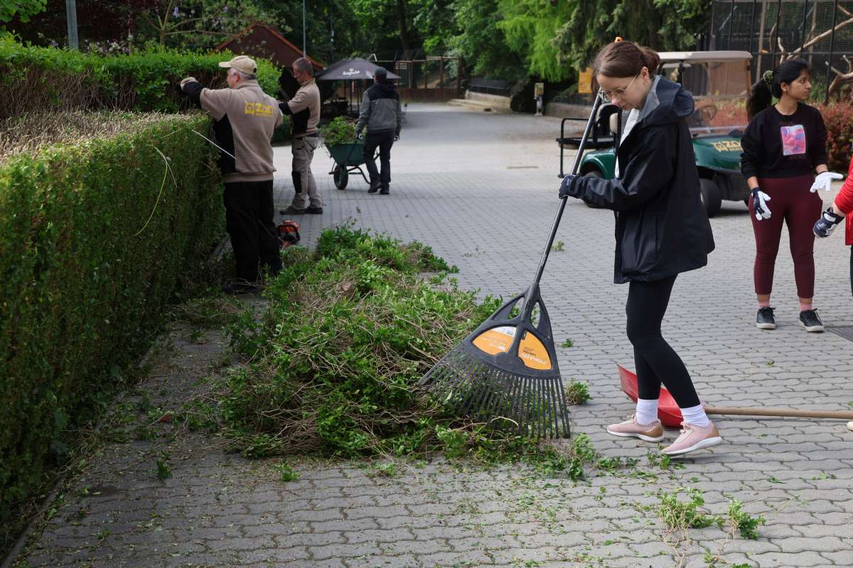 Dobrovoľnícke aktivity v ZOO Bratislava v roku 2025