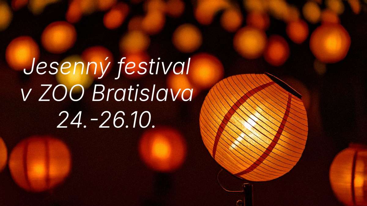 Jesenný festival v ZOO prinesie tekvice, lampiónový pochod aj špeciálny program pre deti