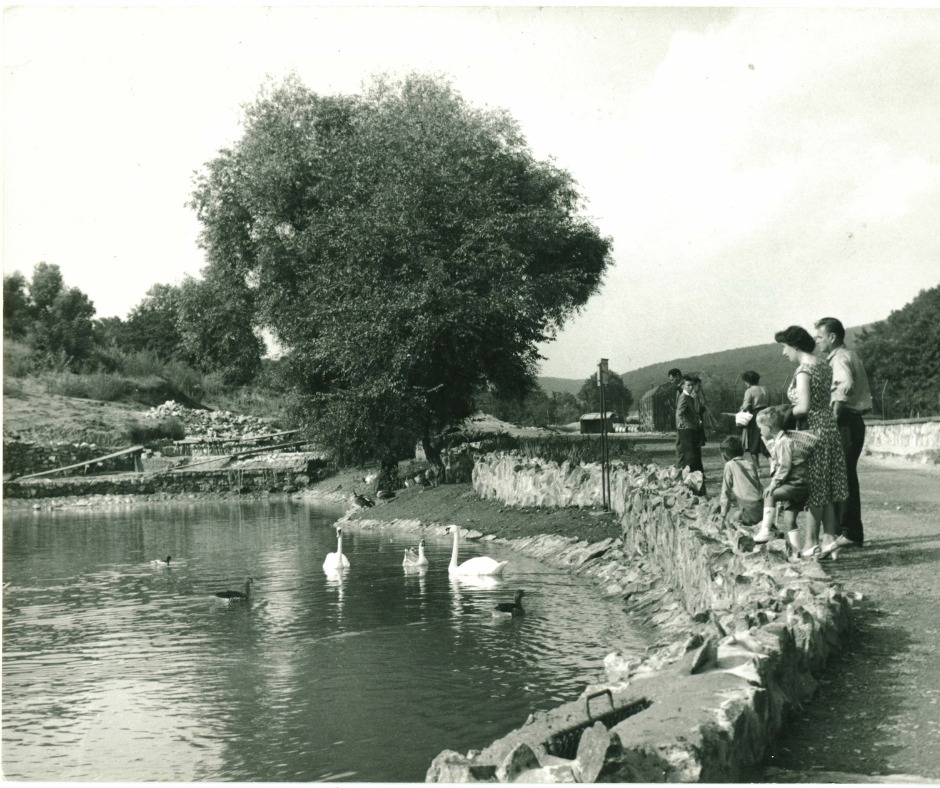 ZOO Bratislava si pripomína 65. výročie